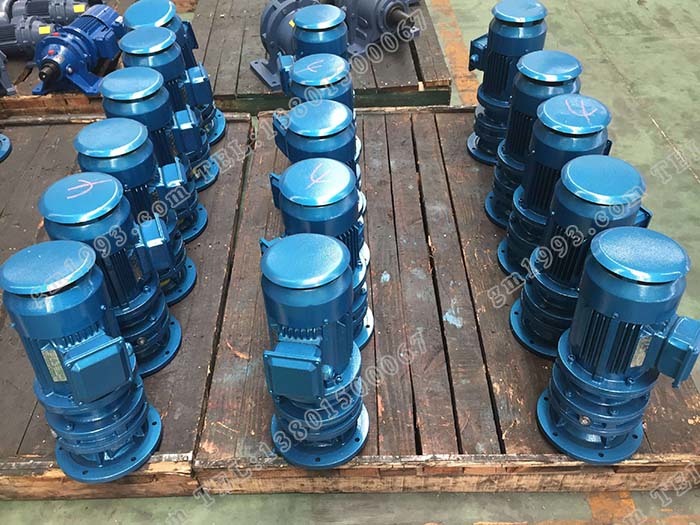 國茂立式擺線針輪減速機(jī)